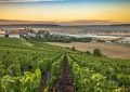 Zoom sur la Champagne