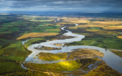 La réserve naturelle du Val d’Allier