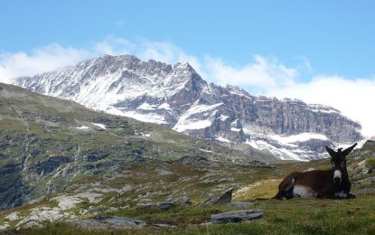 La Savoie, région sauvage